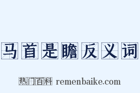 马首是瞻反义词是什么意思的图片